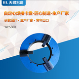 WPS600-1